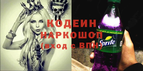 тгк Инсар