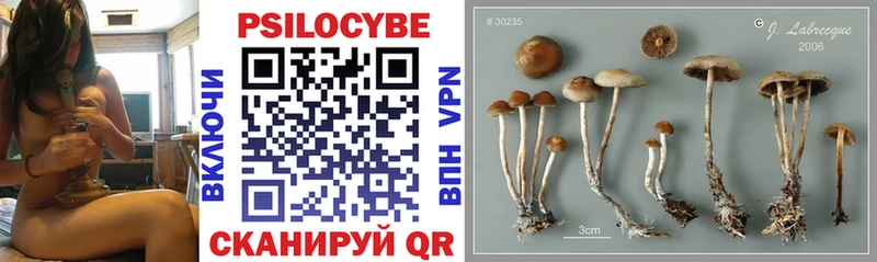 Псилоцибиновые грибы прущие грибы  Купить где  Верхний Тагил 